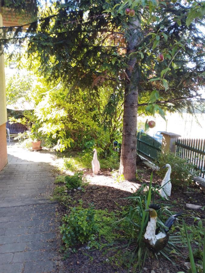 Family Basement Apartment, Breakfast, Free Parking, 5km From Tulln Chorherrn